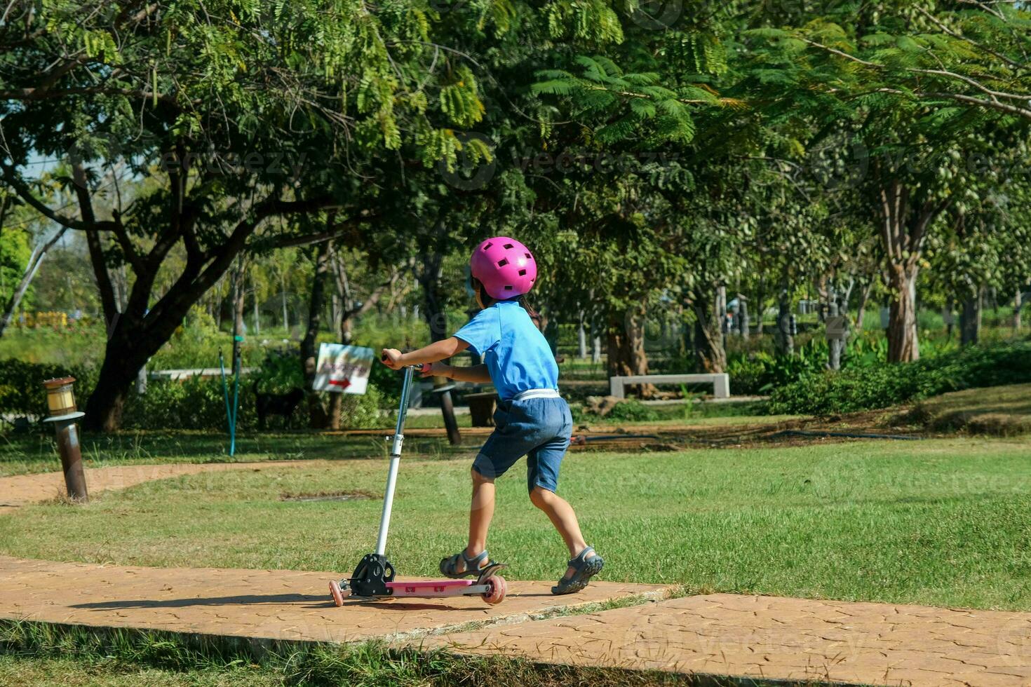 Portrait of active little girl riding scooter on street in outdoor park on summer day. Happy Asian girl wearing a helmet riding a kick scooter in the park. Active leisure and outdoor sport for child. photo