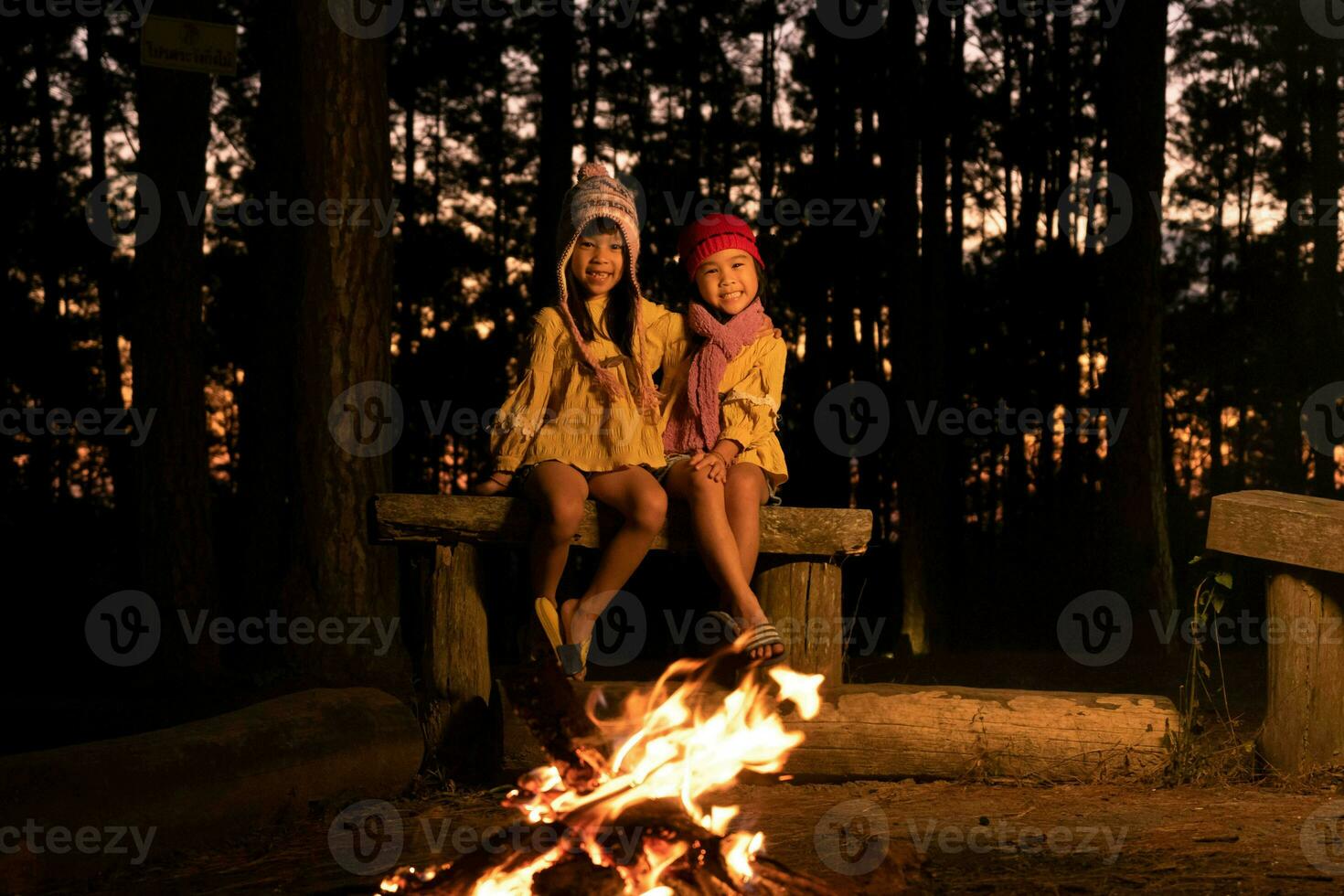 Cute little sisters warm near campfire outdoors in cold weather. Children having fun at camp fire. Camping with children in winter pine forest. Happy family on vacation in nature. photo