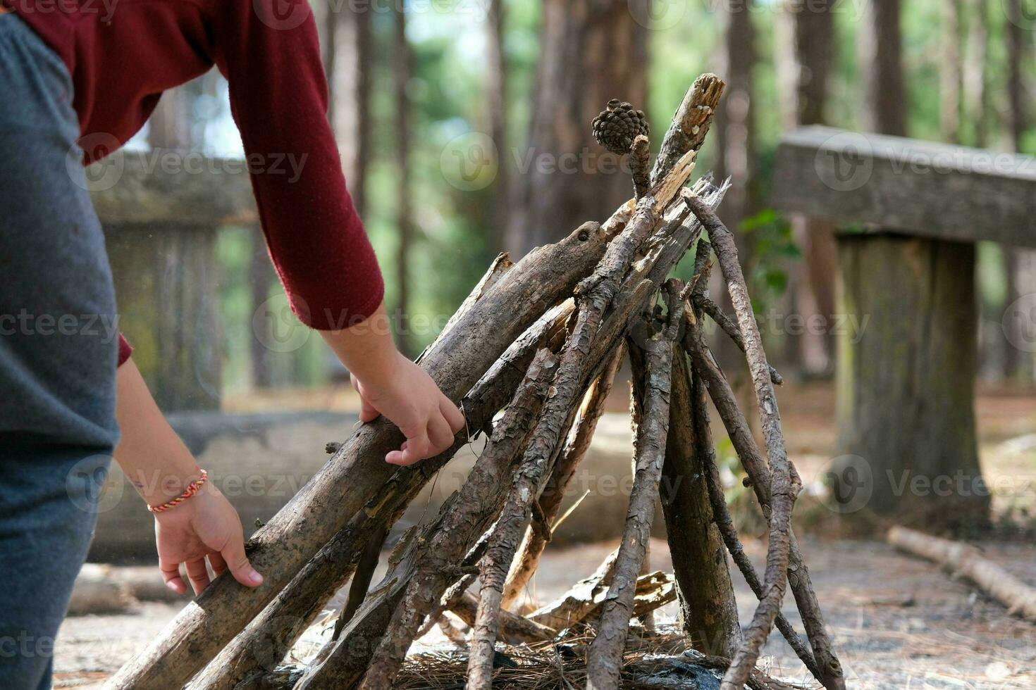 Cute little sisters making campfire on nature woods. Children having fun at camp fire. Camping with children in winter pine forest. Happy family on vacation in nature. photo