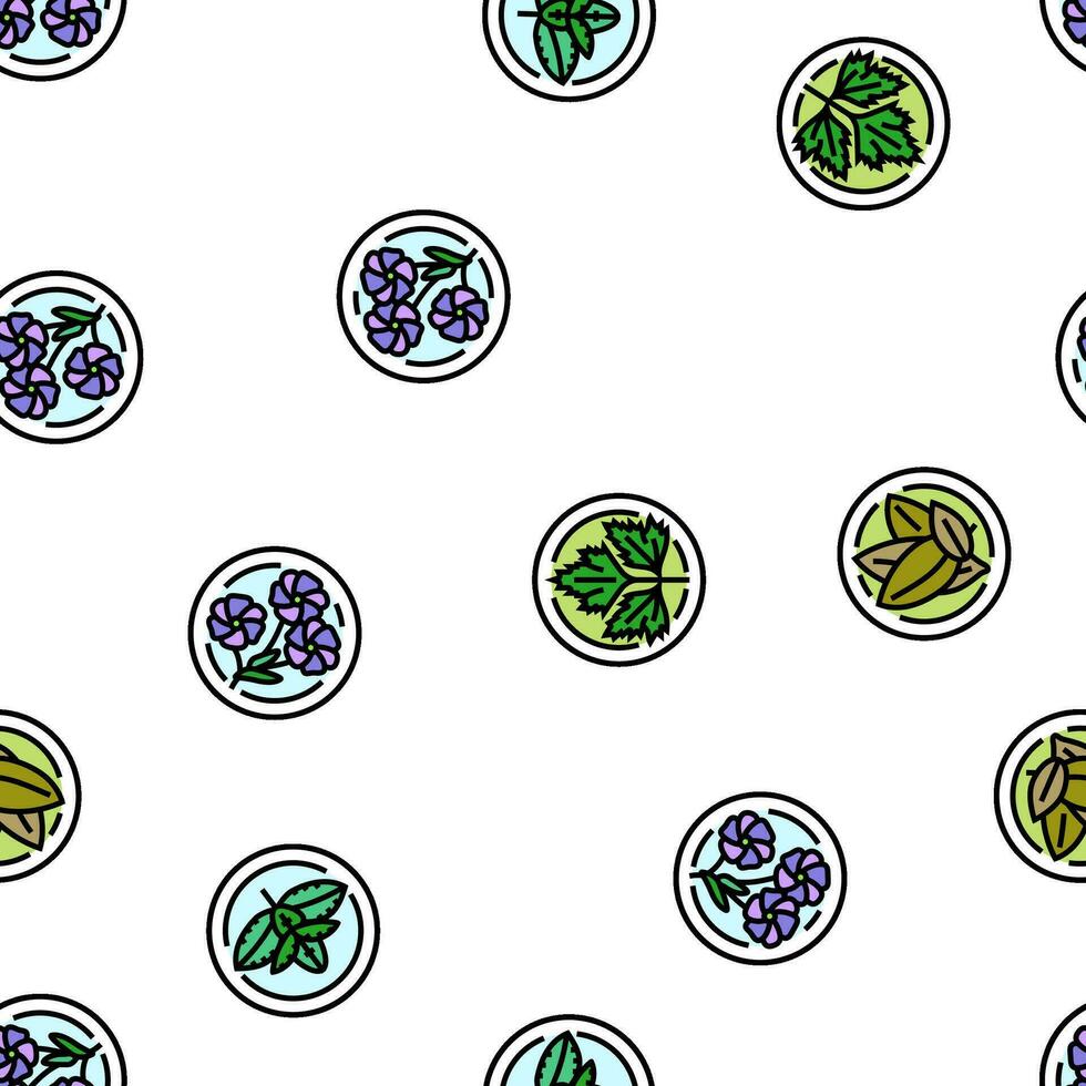 plant natural cosmetic green vector seamless pattern