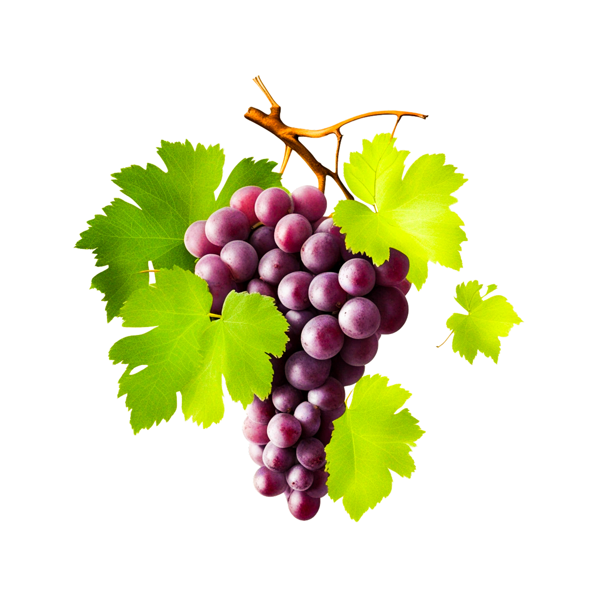 Common Grape Vine Wine Sultana Ruby Roman Generated Ai 32517859 PNG