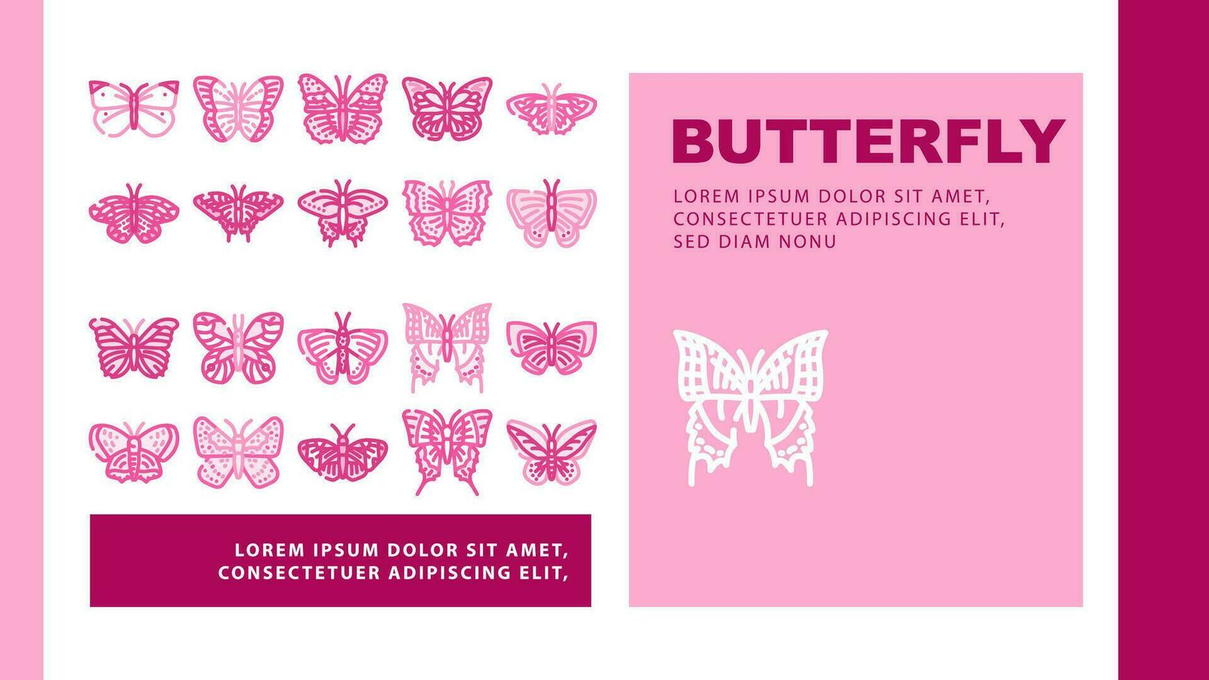 butterfly white nature landing header vector