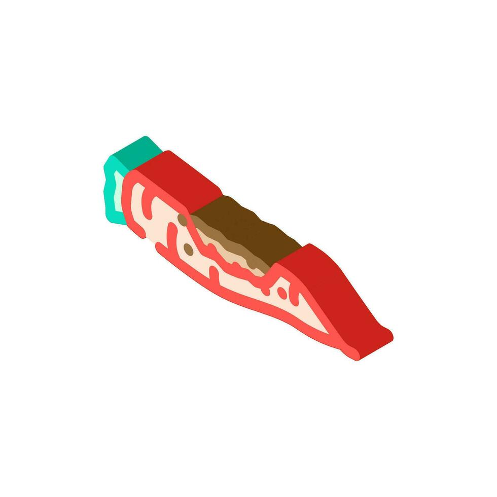 carrot rotten food isometric icon vector illustration