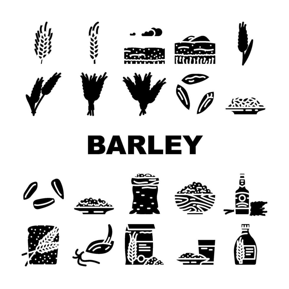 barley grain wheat icons set vector