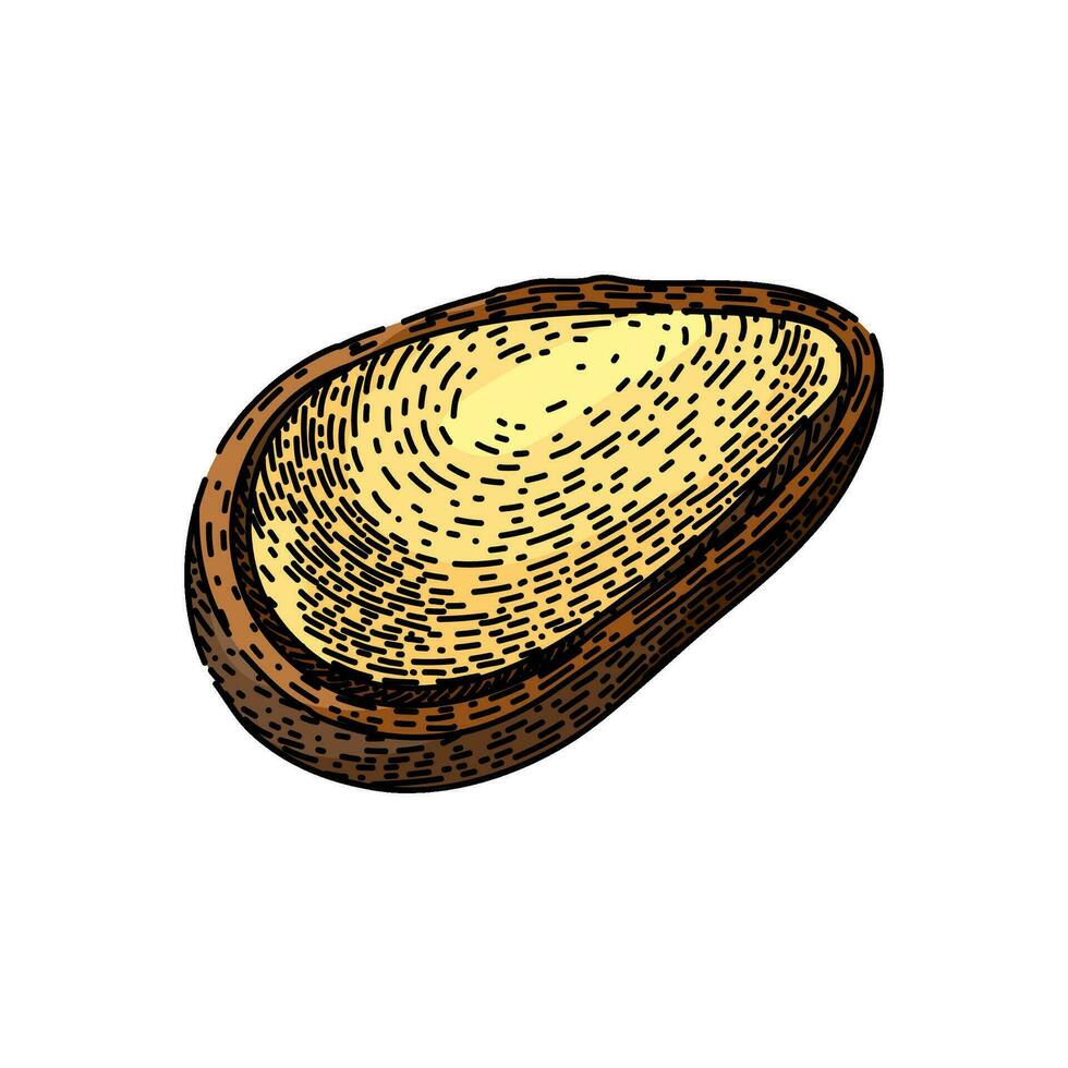 snack pine nut sketch hand drawn vector