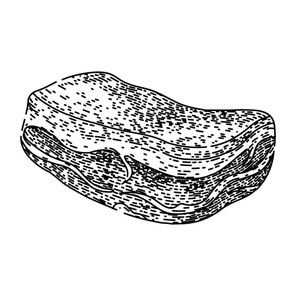 sirloin meat sketch hand drawn vector