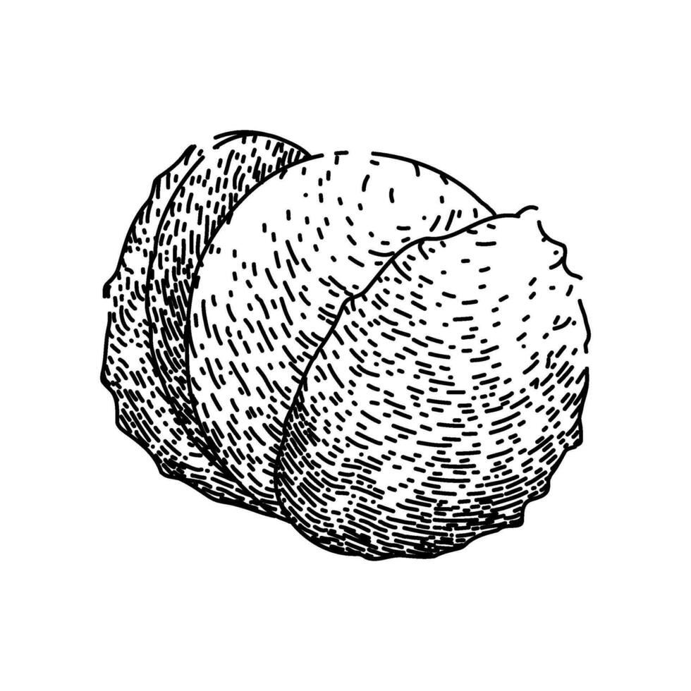 pink lychees sketch hand drawn vector