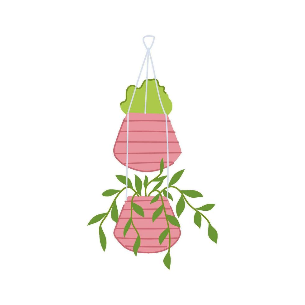 natural hanging planter cartoon vector illustration