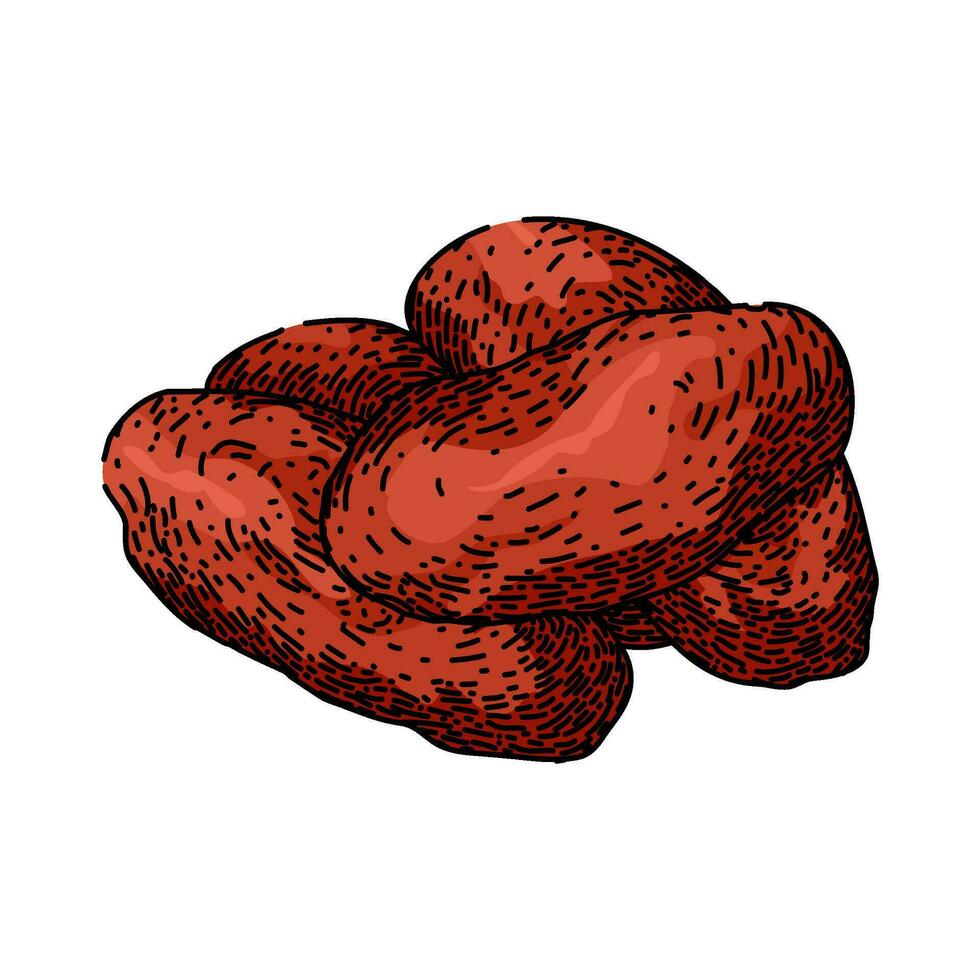 snack dried fruit sketch hand drawn vector