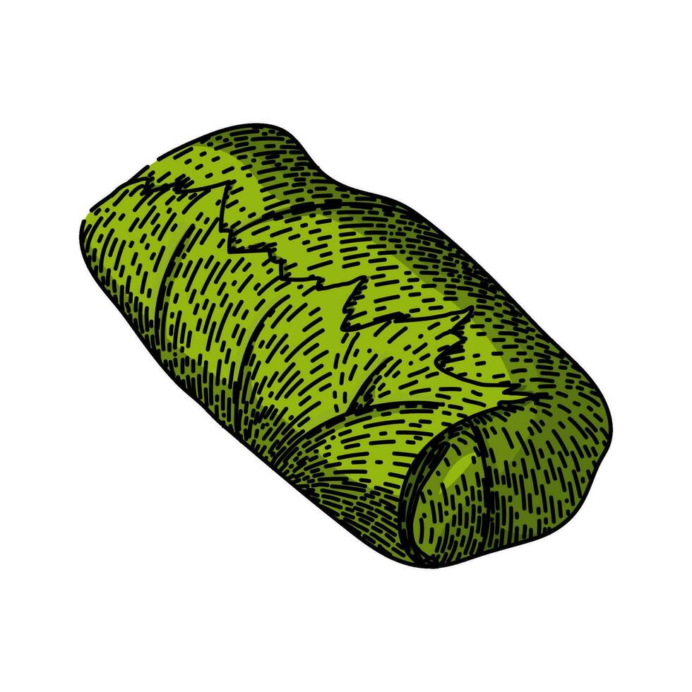 lunch dolma sketch hand drawn vector