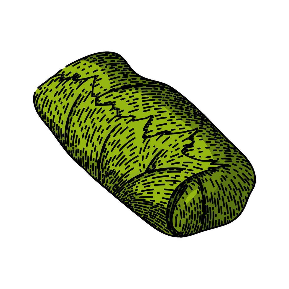 lunch dolma sketch hand drawn vector