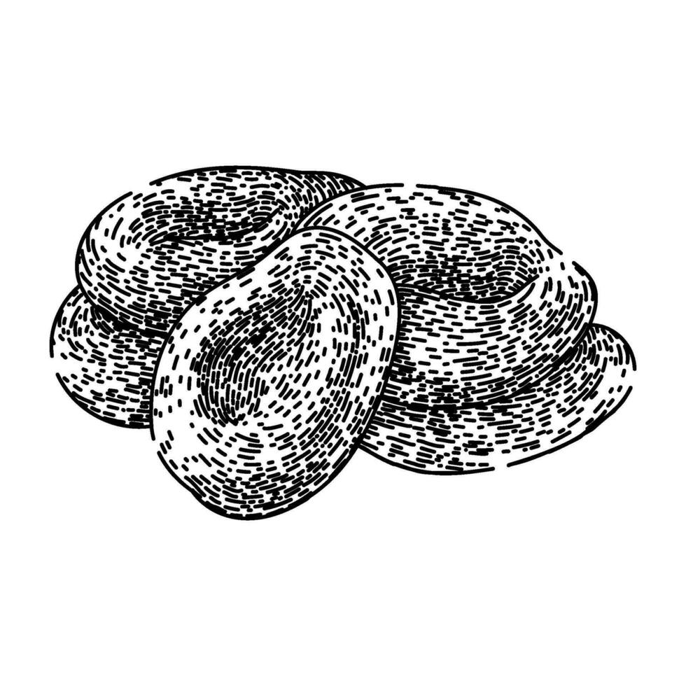 dry dried fruit sketch hand drawn vector