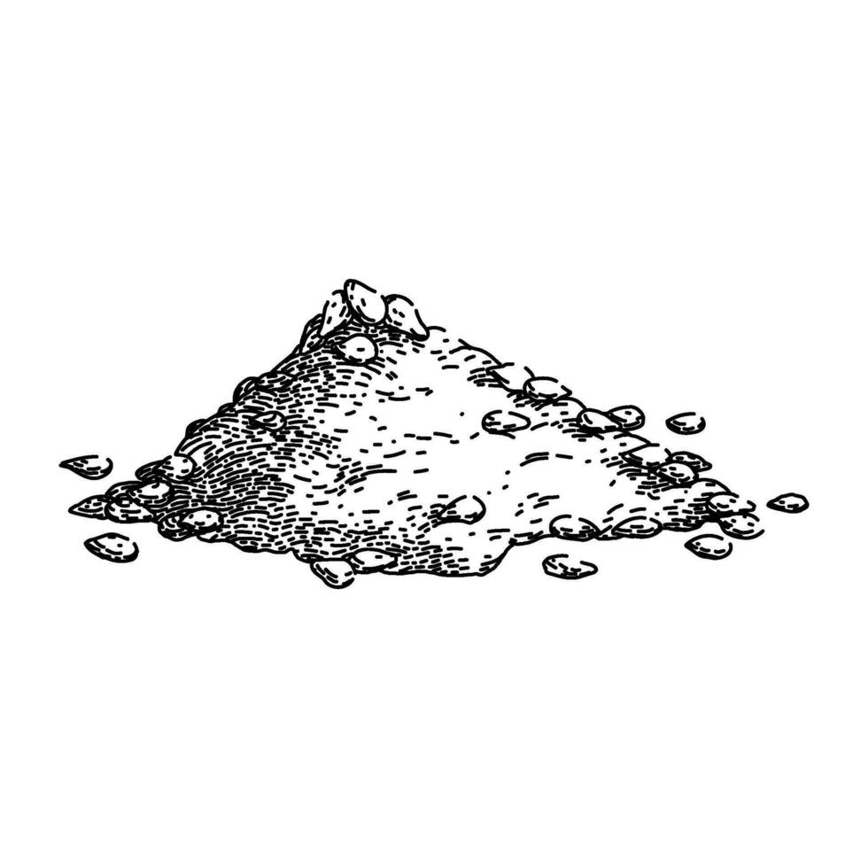 healthy sesame seed sketch hand drawn vector 32520809 Vector Art at