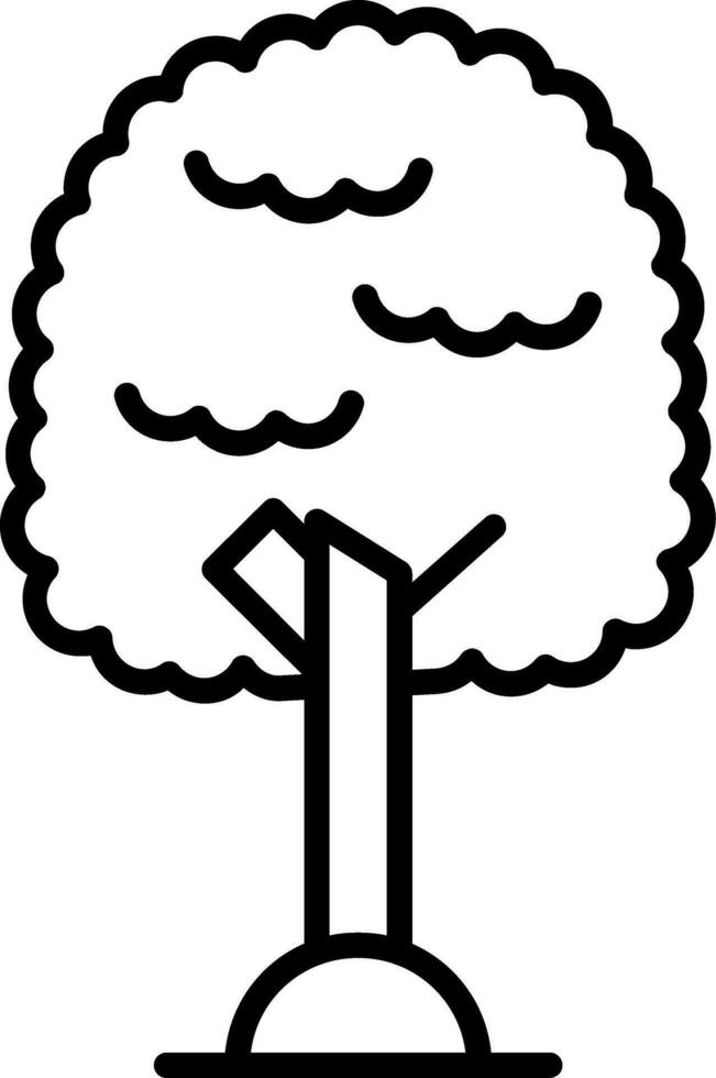 Pecan Vector Icon
