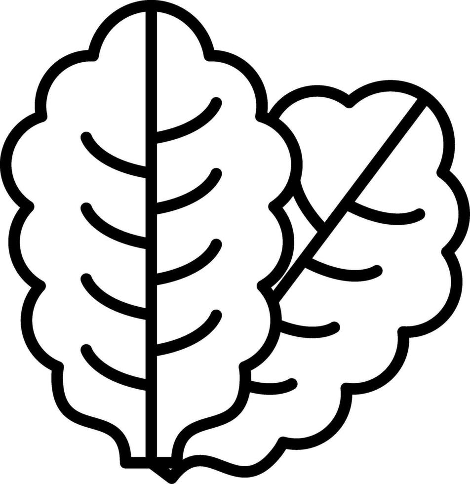 Lettuce Vector Icon
