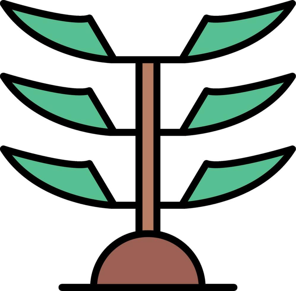 araucaria vector icono