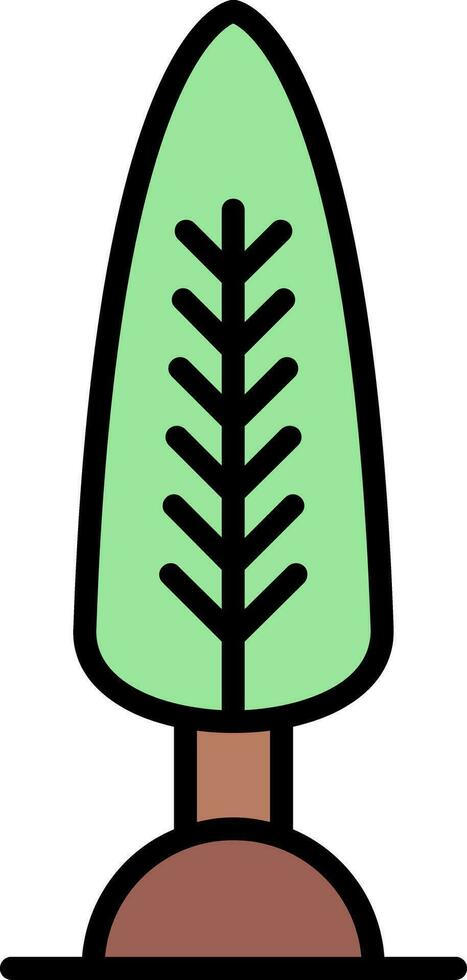 Cypress Vector Icon