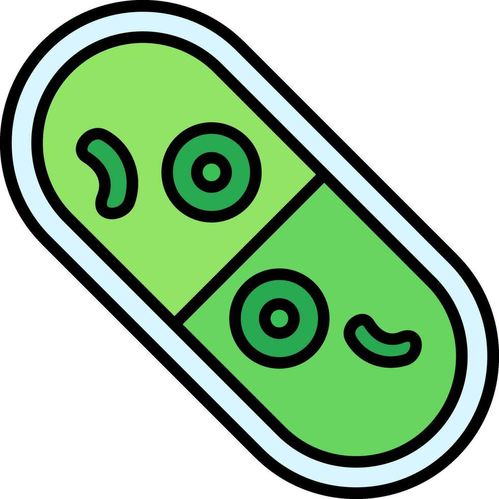 Cylindrocystis Vector Icon