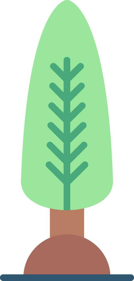 Cypress Vector Icon