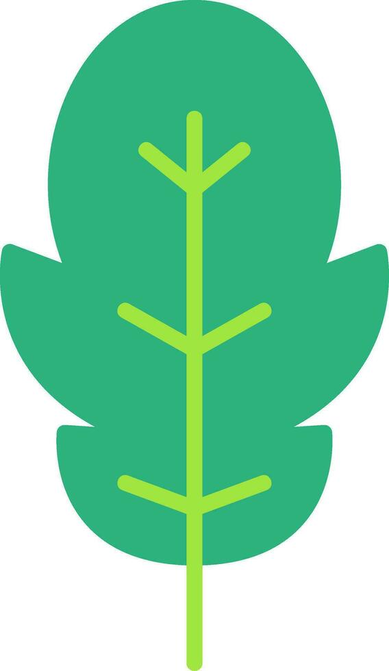 Arugula Vector Icon
