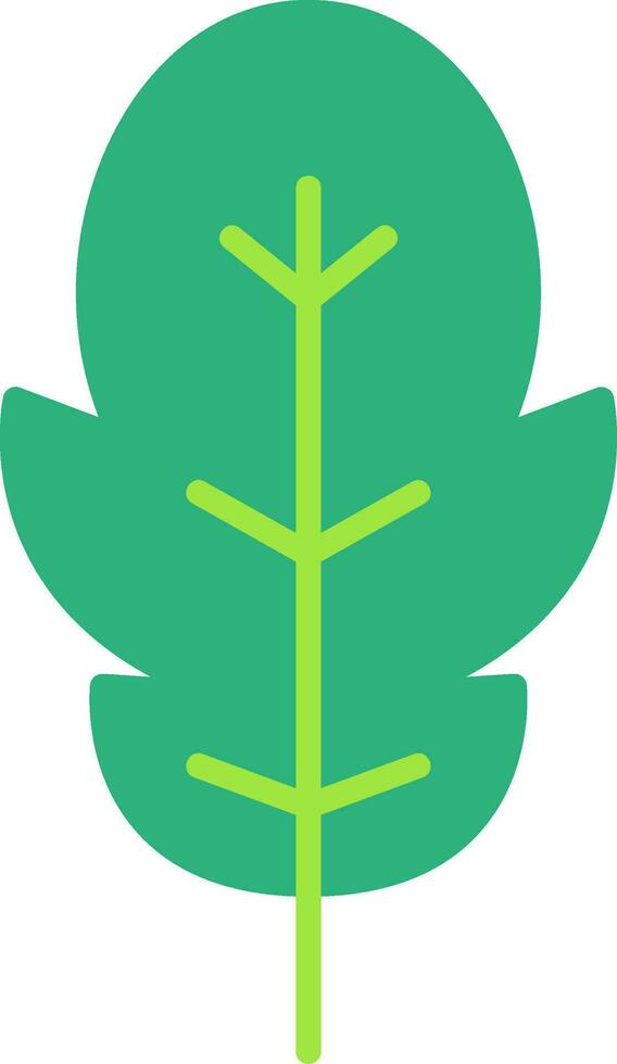 Arugula Vector Icon