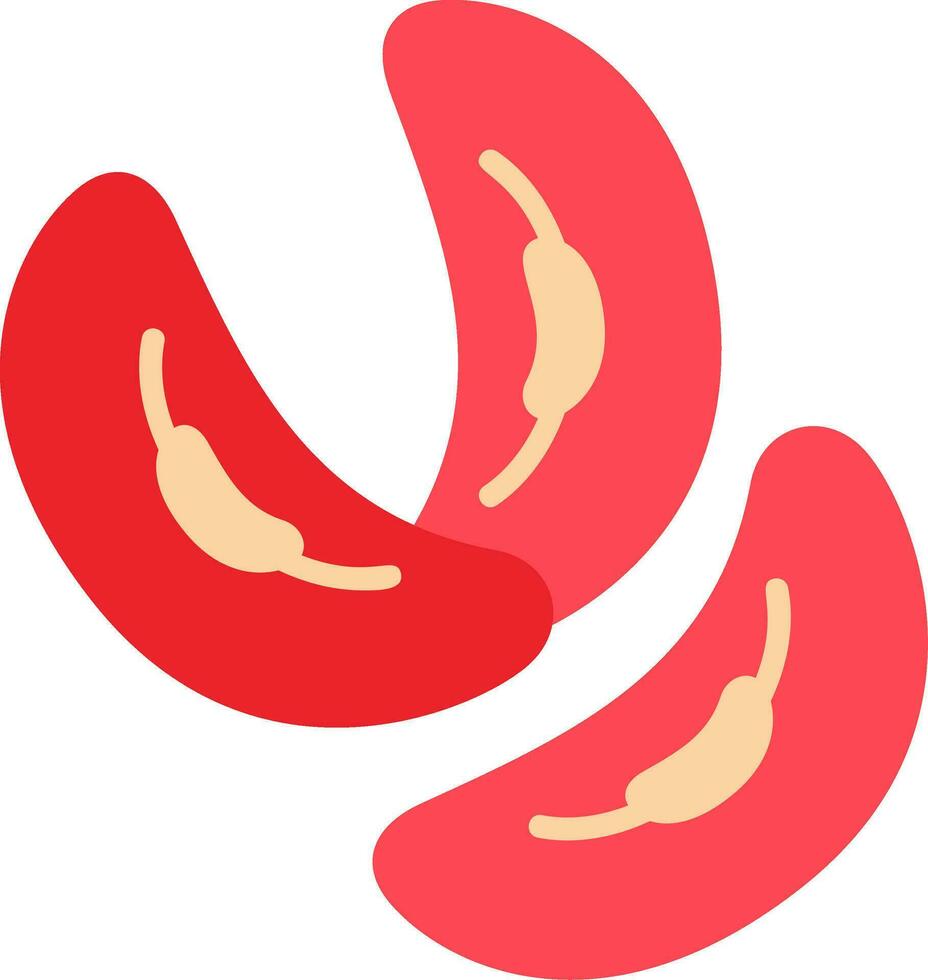 Kidney Bean Vector Icon