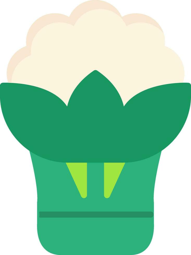 Cauliflower Vector Icon