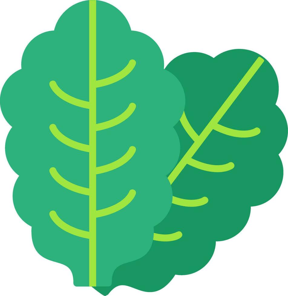Lettuce Vector Icon