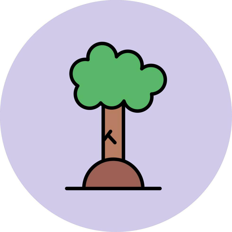 Beech Vector Icon