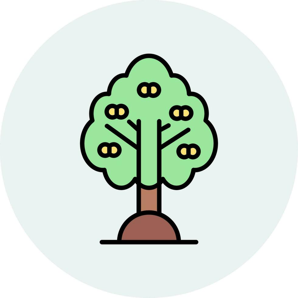 Apricot Vector Icon
