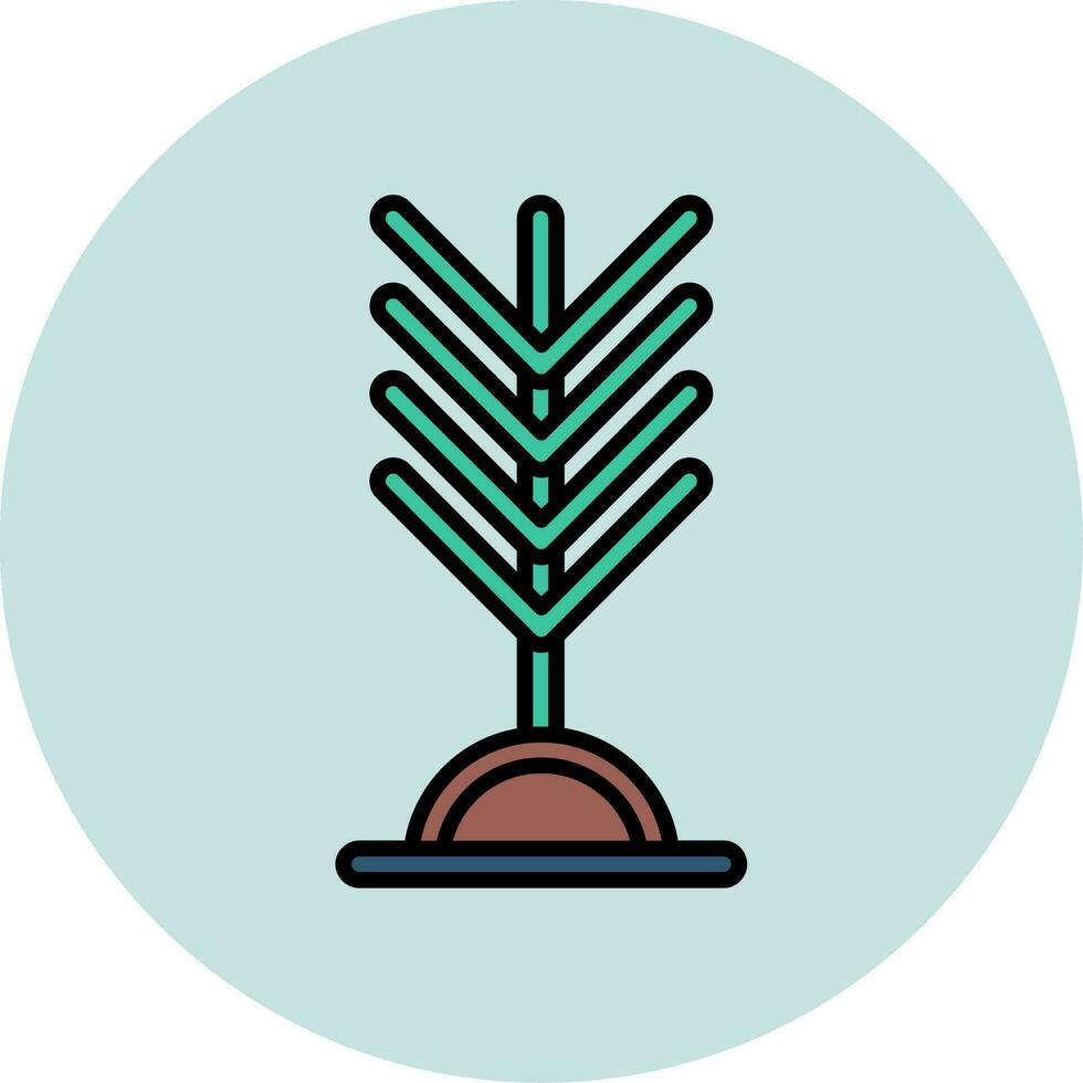 Yew Vector Icon