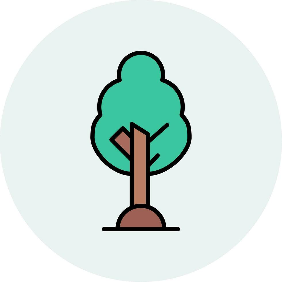 Birch Vector Icon