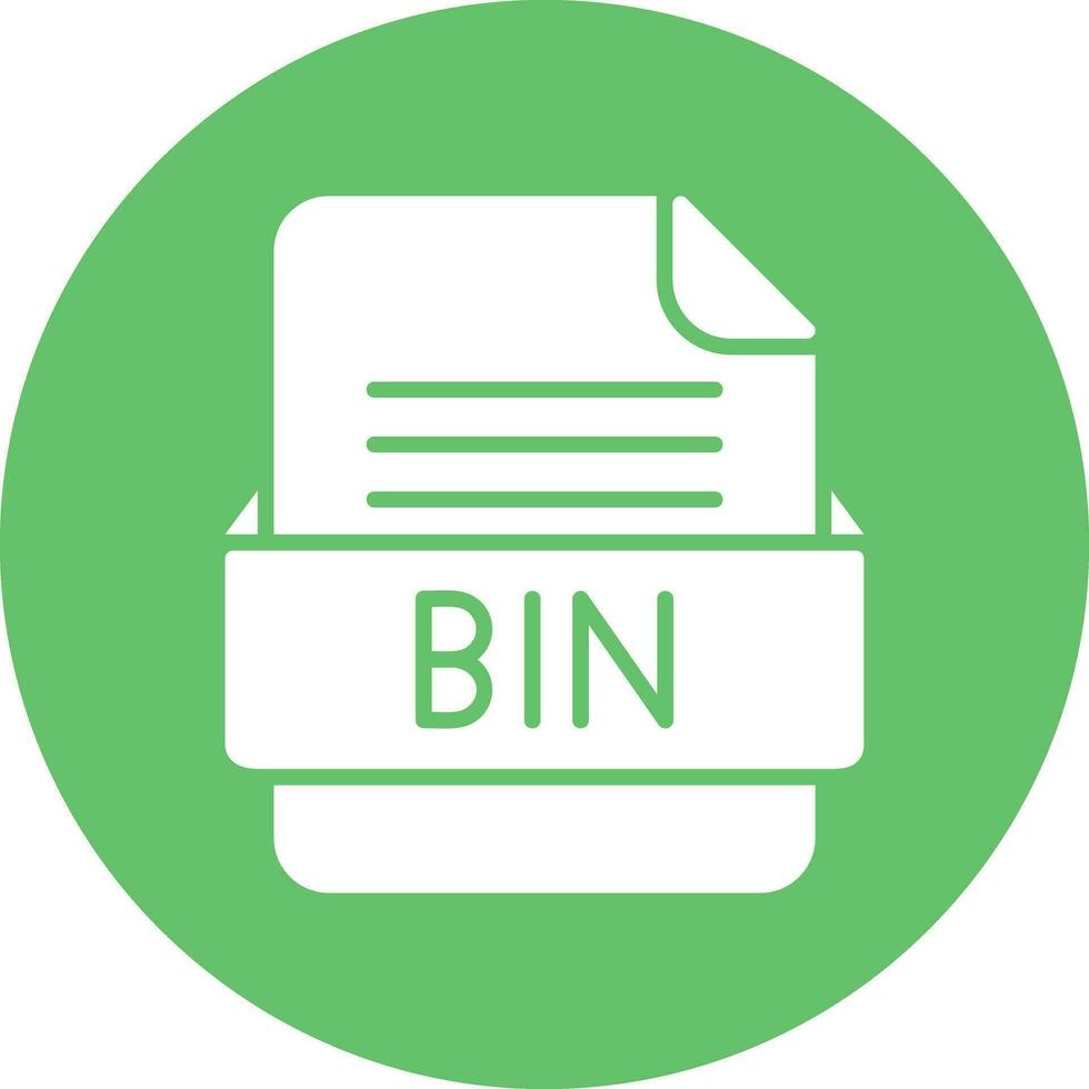 BIN File Format Vector Icon