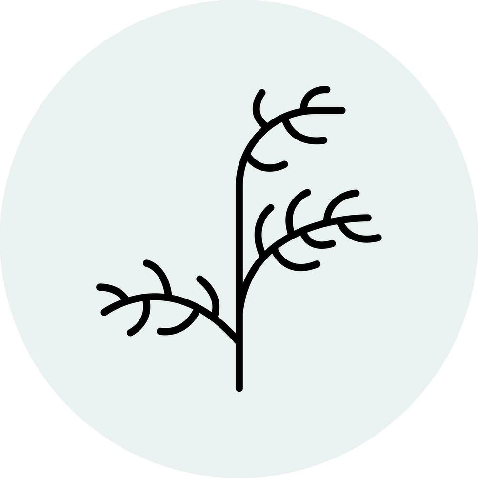 Dill Vector Icon