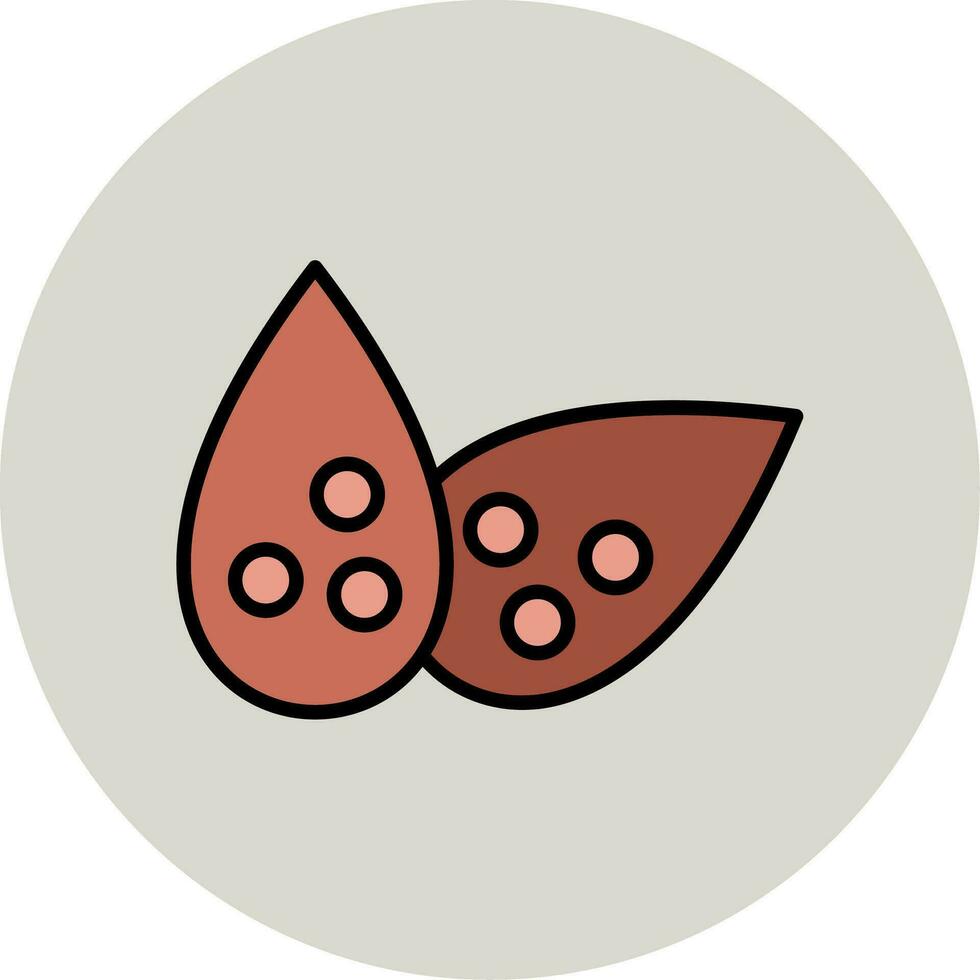 Lentils Vector Icon
