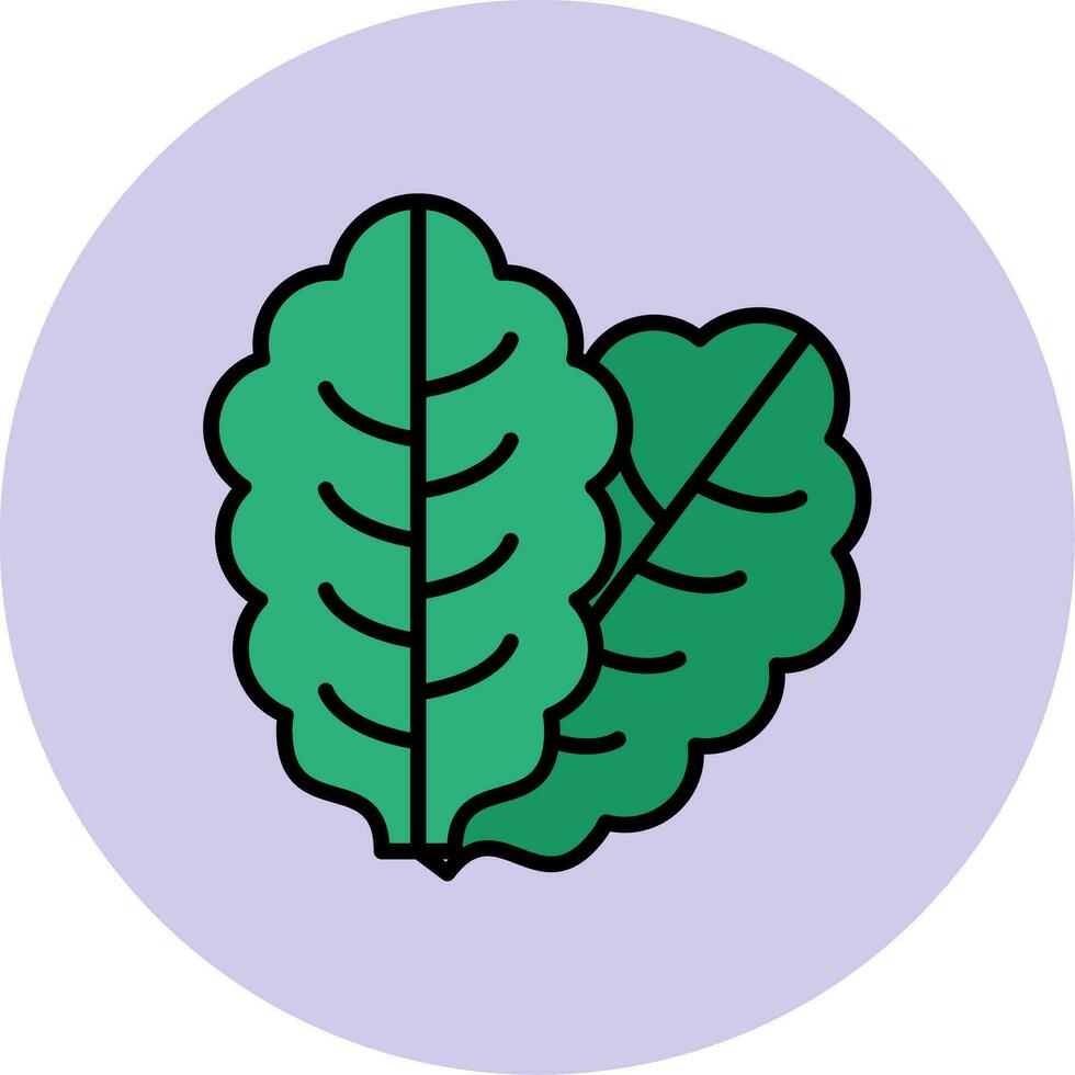 Lettuce Vector Icon