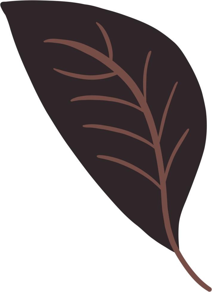 Simplicity autumn leaf freehand drawing png