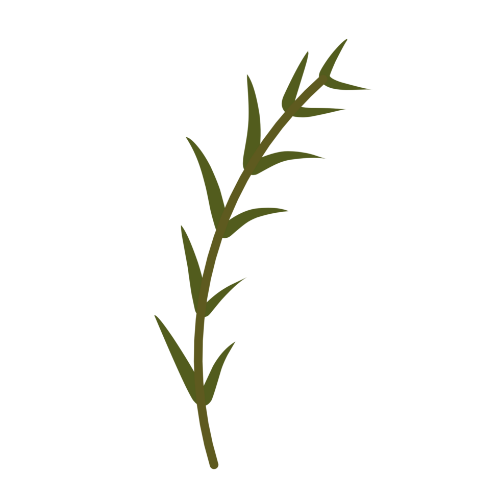 botanisk löv illustration png