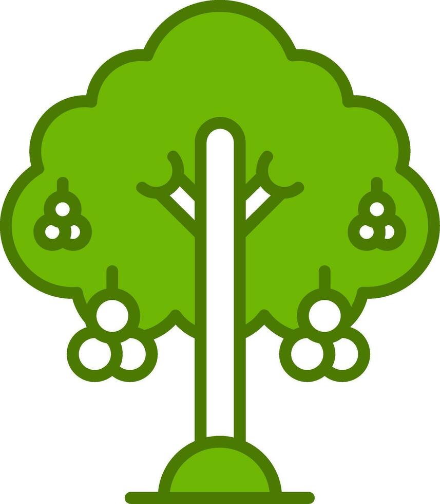 Rowan Vector Icon