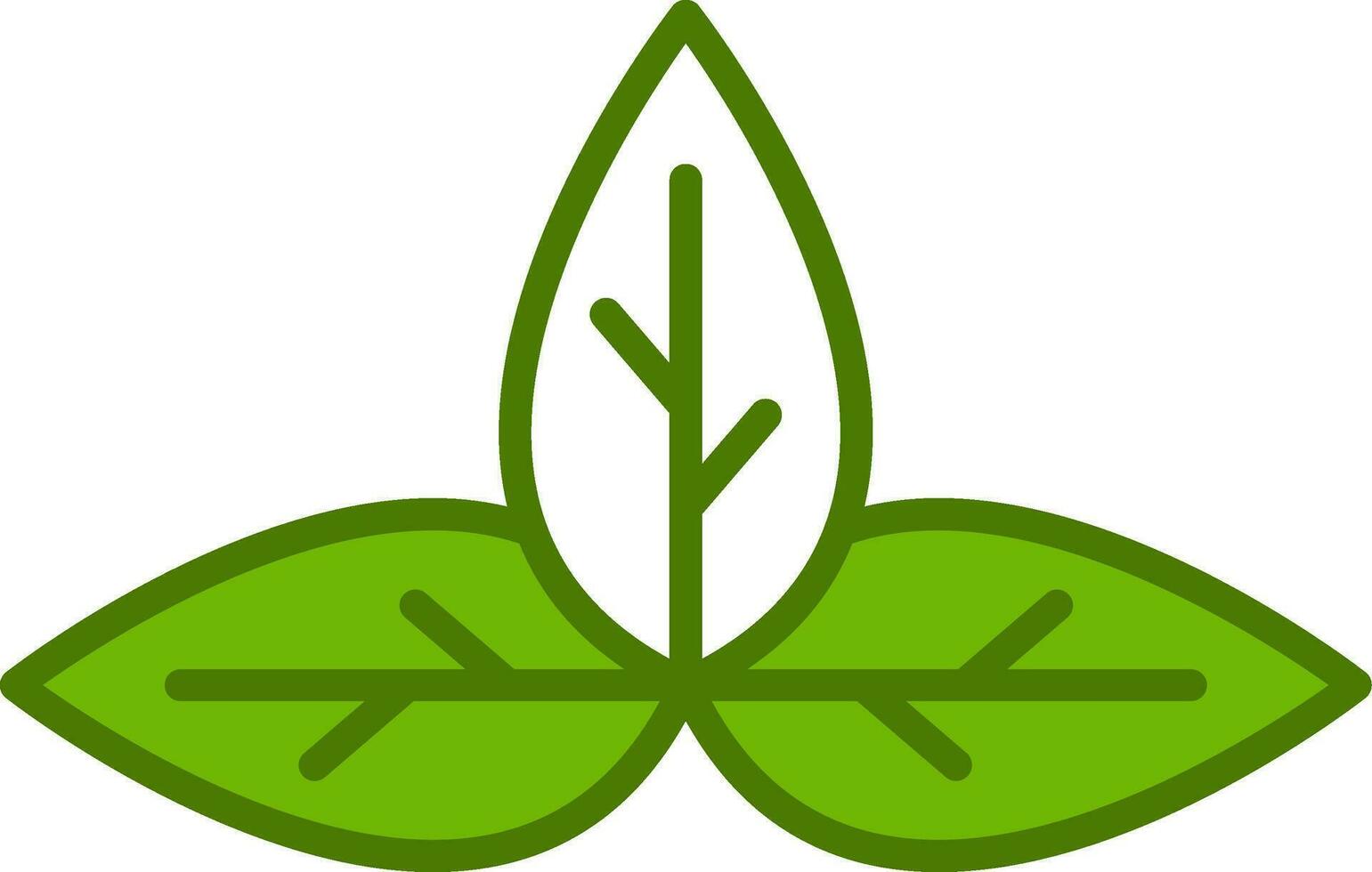 Basil Vector Icon