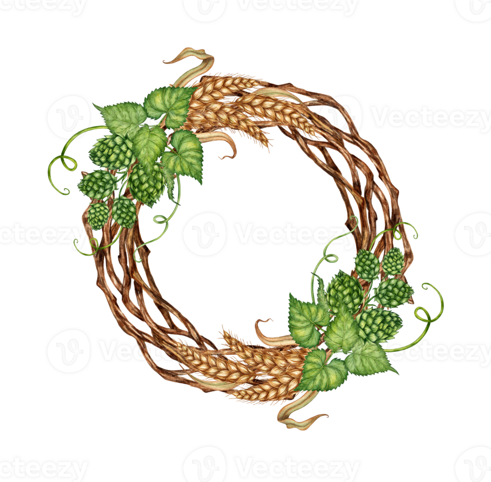 Watercolor illustration of a wreath of wheat ears, hop cones and dry branches. Round frame isolated. For menus, banners, poster printing, recipes, label packaging design png