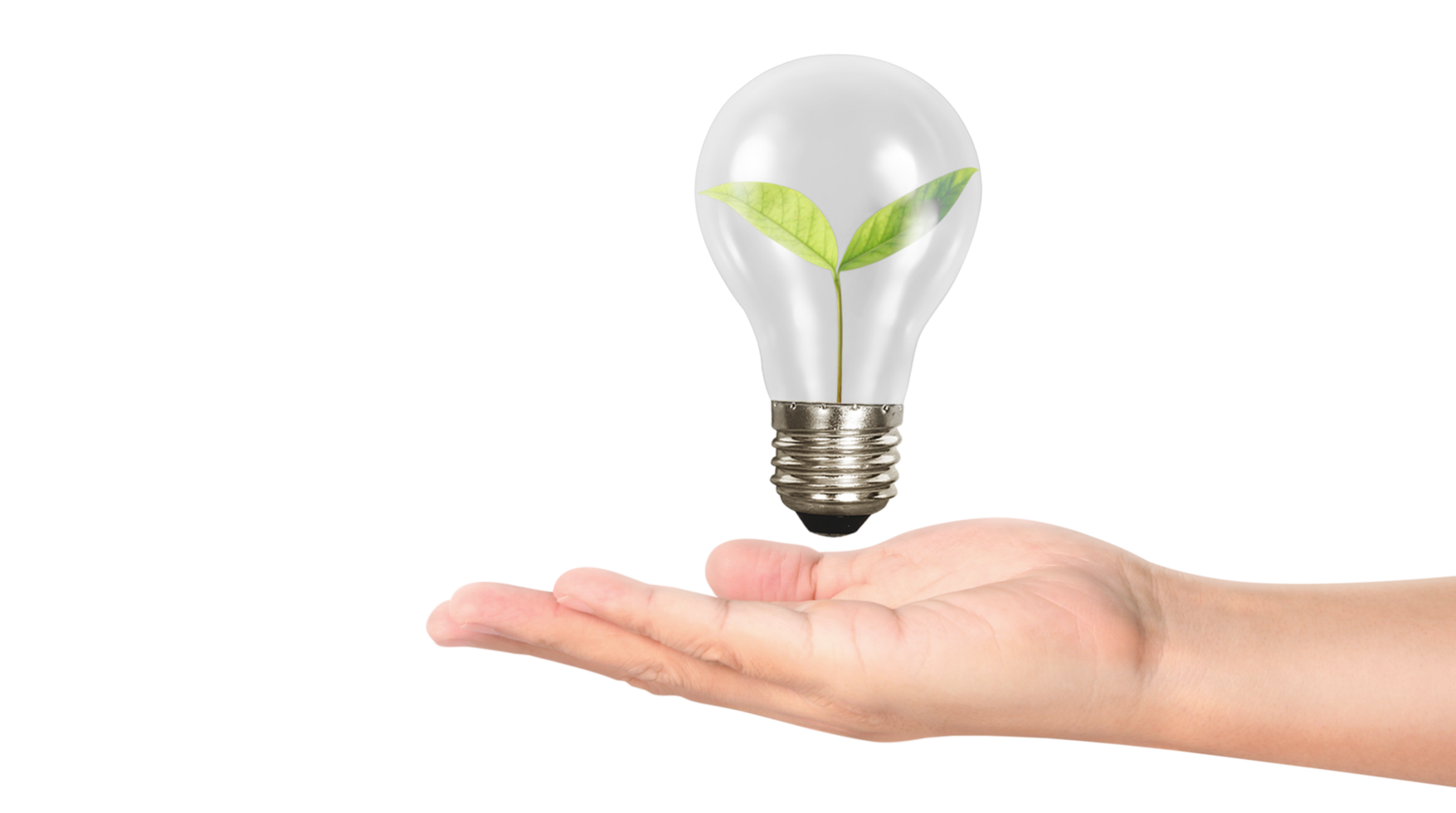 Businessman holding empty hands png