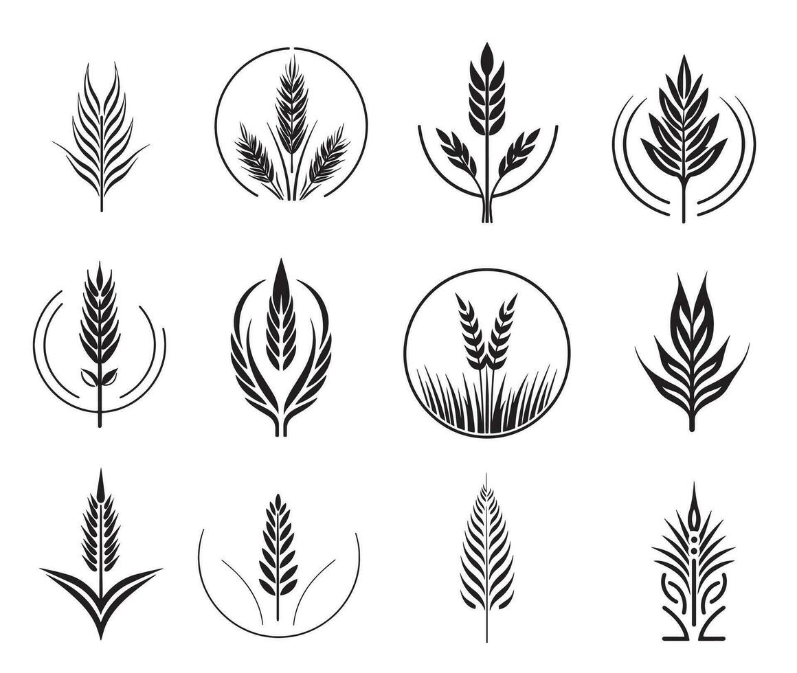 Wheat set of symbols and signs. Ears icon set, hand drawn. Vector outline linear style.