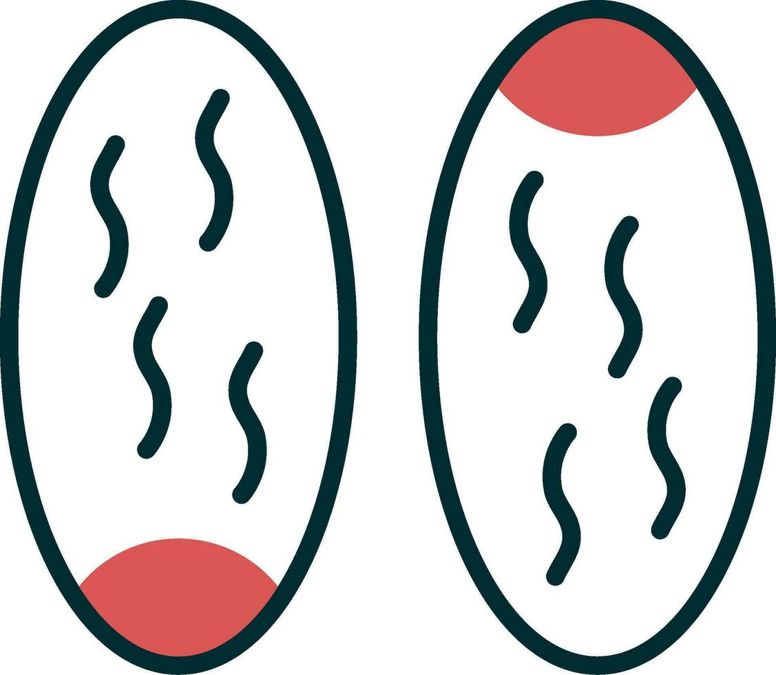 Dates Vector Icon