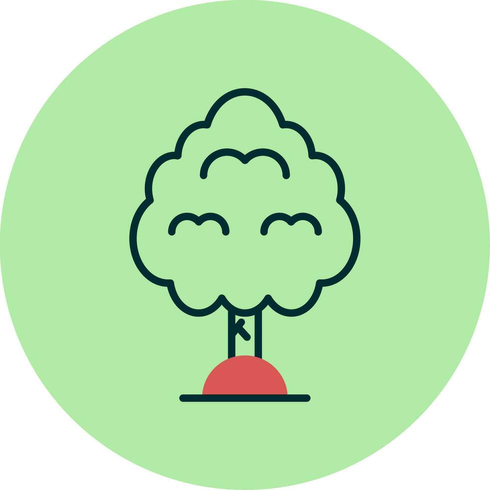 Kalleri Pear Vector Icon
