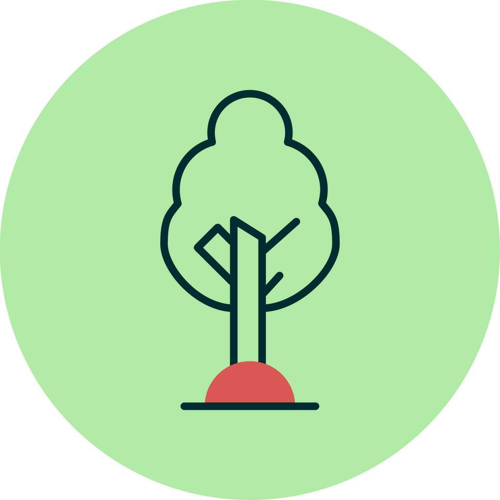 Birch Vector Icon