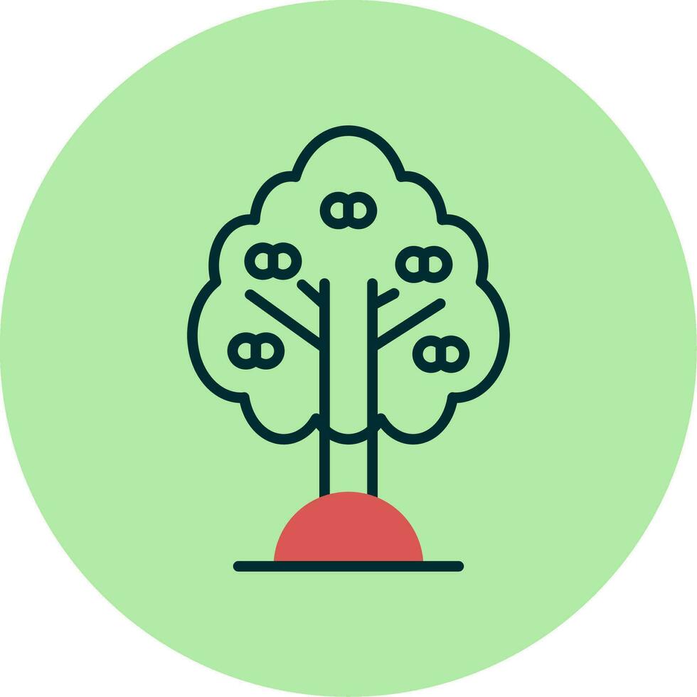 Apricot Vector Icon