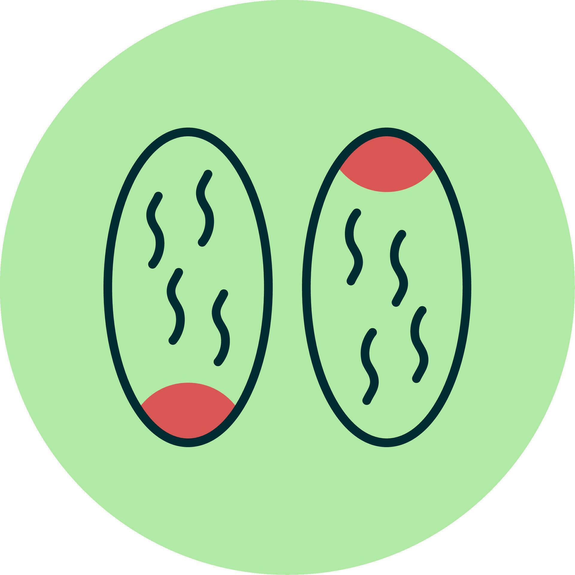 Dates Vector Icon 32537301 Vector Art at Vecteezy