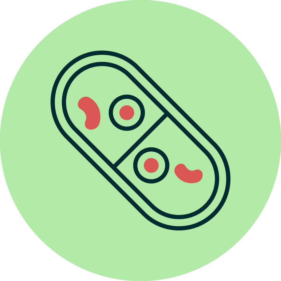 Cylindrocystis Vector Icon