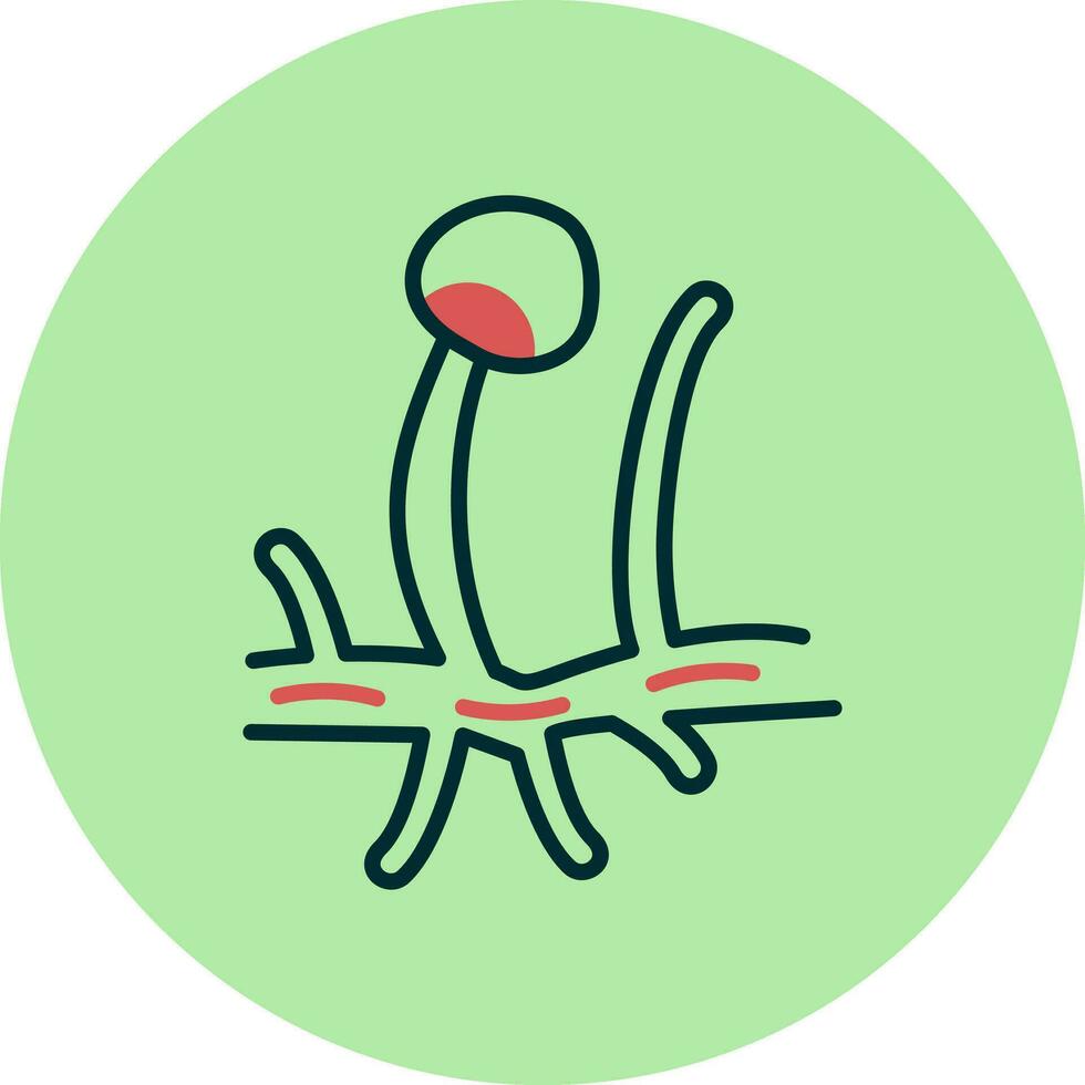 rhizopus Vector Icon